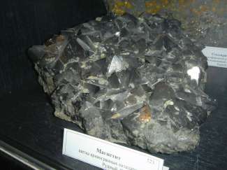 DSC05800.JPG